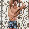 Boxer Lody Men
