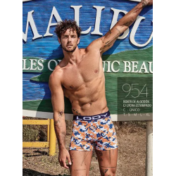 Boxer Lody Men
