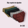 Slip Rayado Algodón  Bradbury T7/8