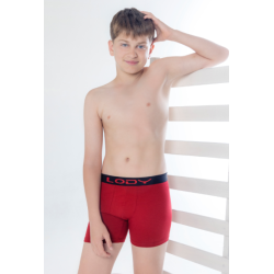 Boxer Lody Men Kids