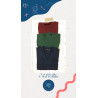 *1Pullover Colegial Azul/Bordo/Verde T18/24
